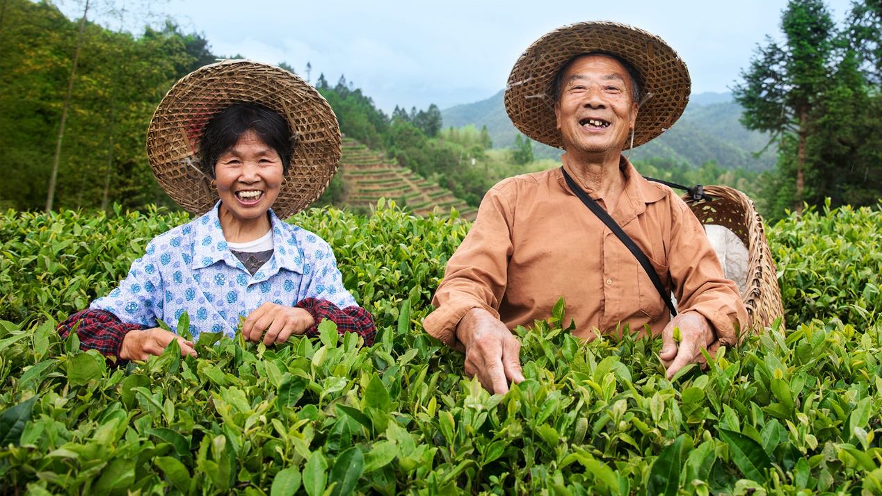 “振興中國好茶公益助農行動”正式發起，小罐茶以茶助農打贏脫貧攻堅戰